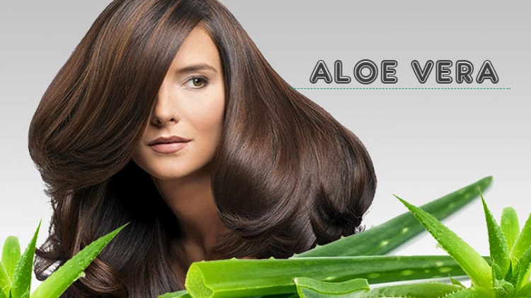 Hair Growth With Aloe Vera