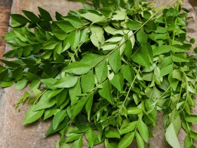 Curry Leaves For Hair Growth