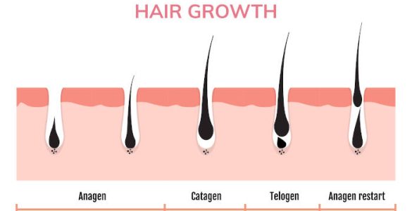 hair growth