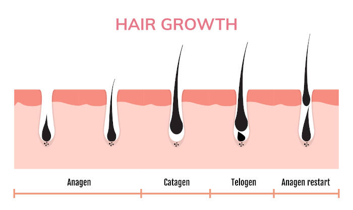 Best Hair Growth Products for Women