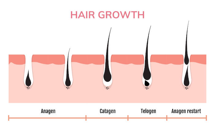 hair growth